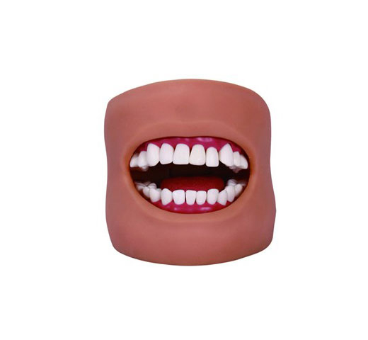 ǻ坍ģ